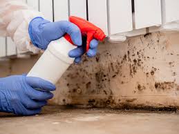 Mold Odor Removal Services in Parkland, FL